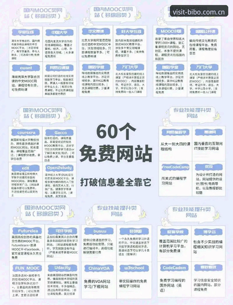 bibo必博平台完整指南：从下载到日常使用的每一步